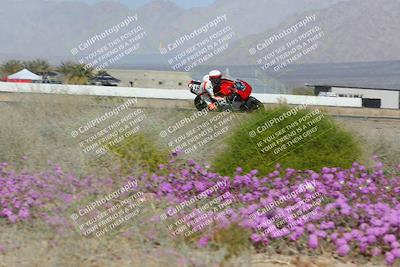 media/Feb-04-2023-SoCal Trackdays (Sat) [[8a776bf2c3]]/Turn 15 Inside Blooming (1050am)/